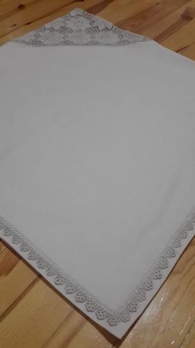 instagram:  #filizinceyizevi_doganer